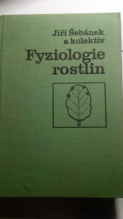 Fyzilologie rostlin