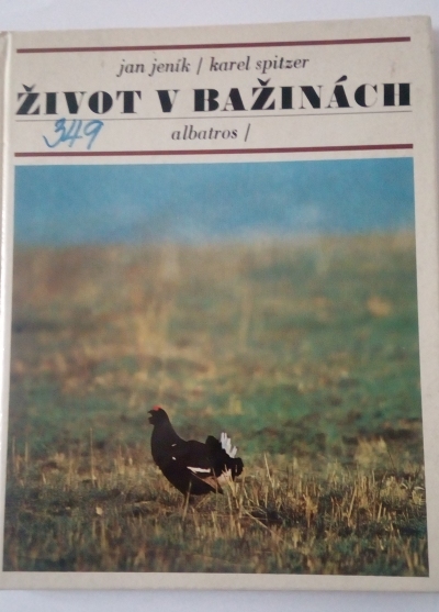 Život v bažinách