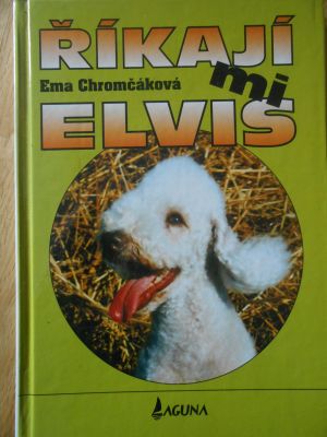 Říkají mi Elvis