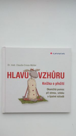 Hlavu vzhůru