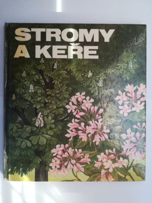 Stromy a keře