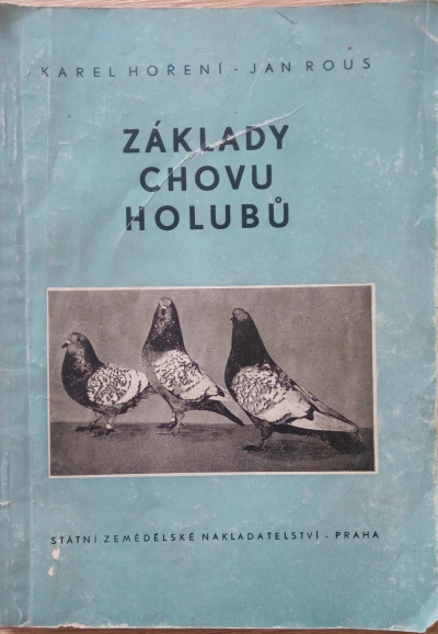 Základy chovu holubů