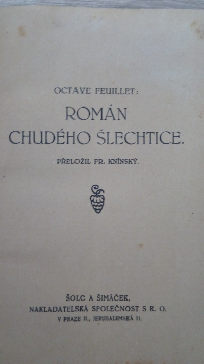 Román chudého šlechtice