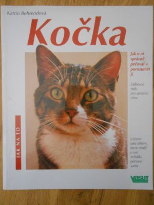 Kočka