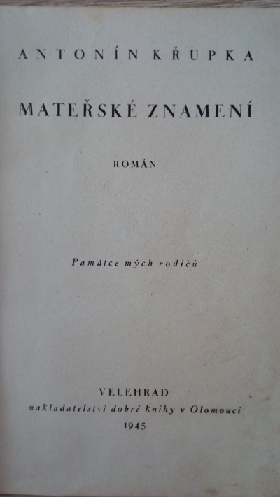 Mateřské znamení