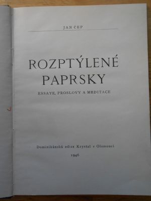 Rozptýlené paprsky