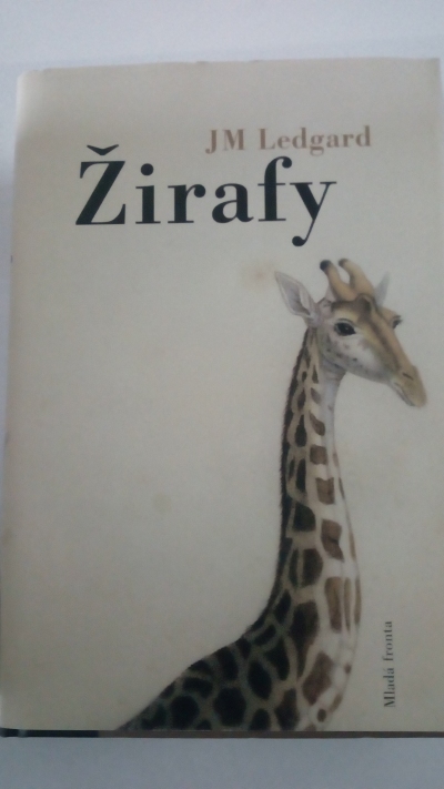 Žirafy